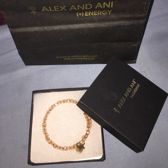 Alex and Ani Accessories - Alex and Ani Starry eye raw beaded bangle.