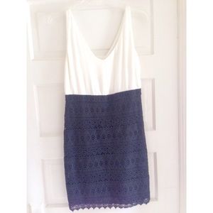 NWT Dress by Loft