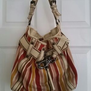 Francesco Biasia colored stripe hobo handbag