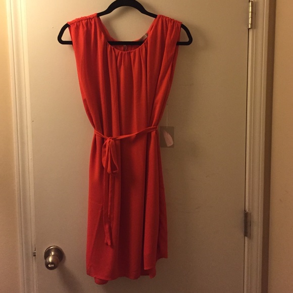Polyester dress