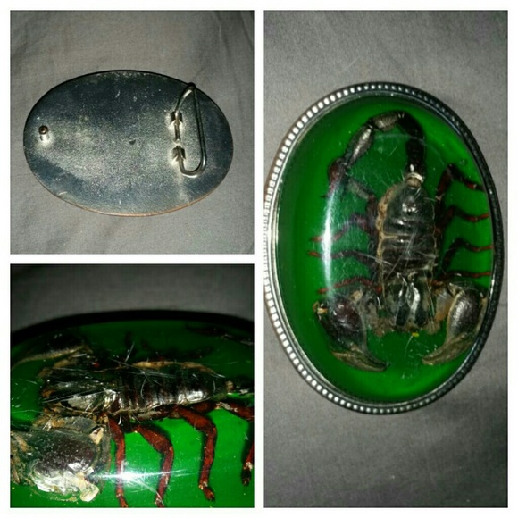 WHITE BACKGROUND BELT BUCKLE REAL SCORPION