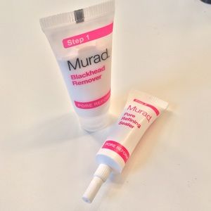 murad mini pore kit