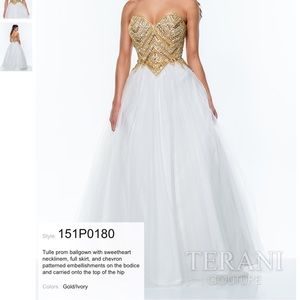 Terani ball gown/prom dress
