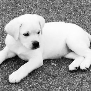 ❤️❤️MEET MY BELLA❤️❤️