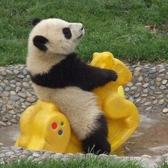 💁🏻INCREASE YOUR FOLLOWERS!💁🏻 Follow Game! - Picture 2 of 2