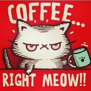 Bundle for @sharfashion