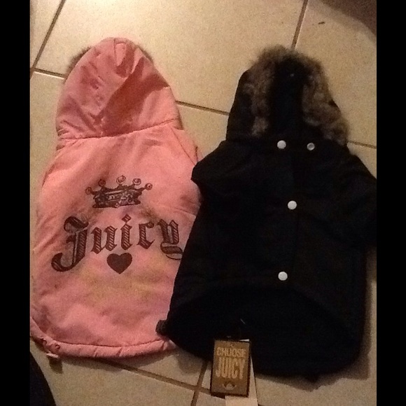 Juicey Couture Dog hooded coat for your BFF