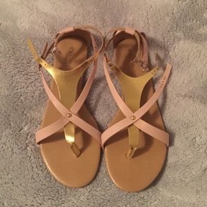 Seychelles Size 8.5 Sandals. 🎉🎉 SALE!