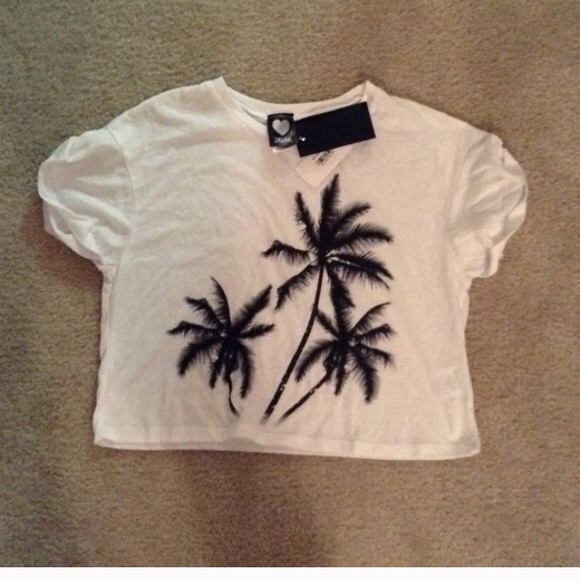 Palm tree crop for vroyal11