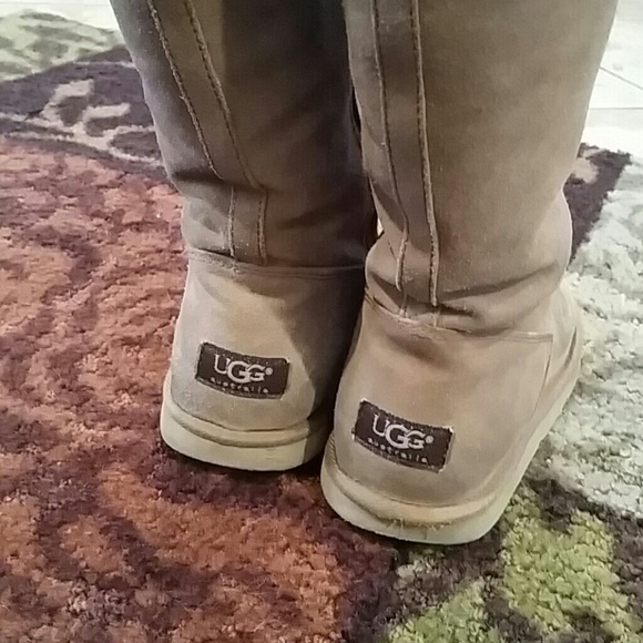 UGG Shoes - Authentic  Uggs Chestnut