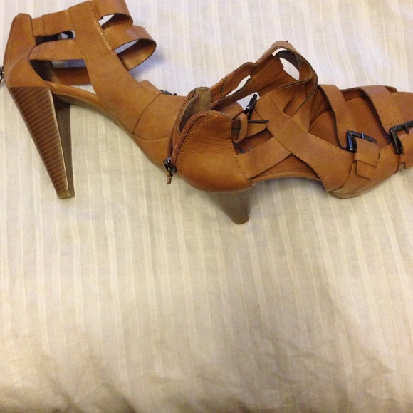 Guess new