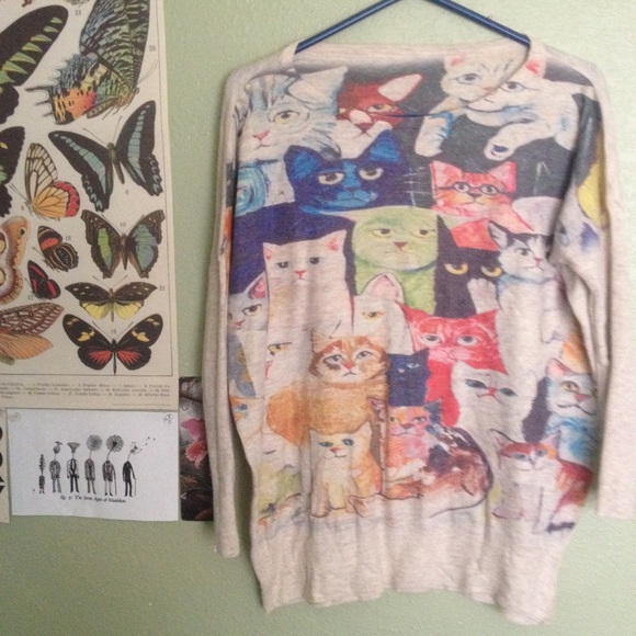 Cat sweater!