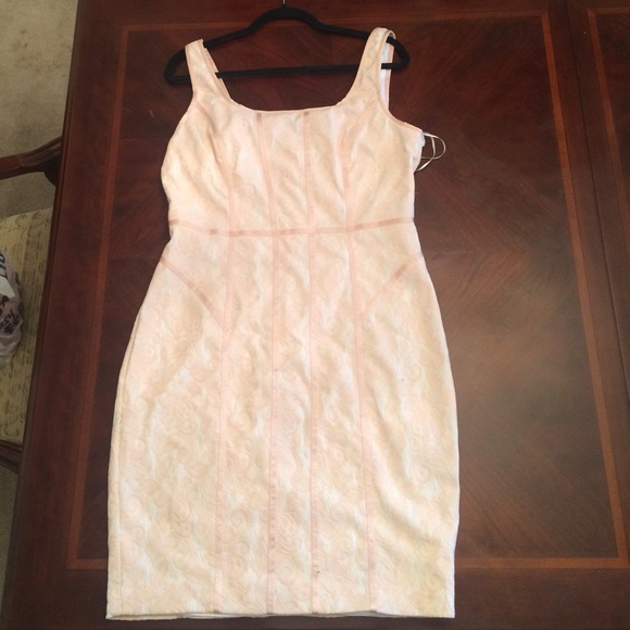 Cache lace dress
