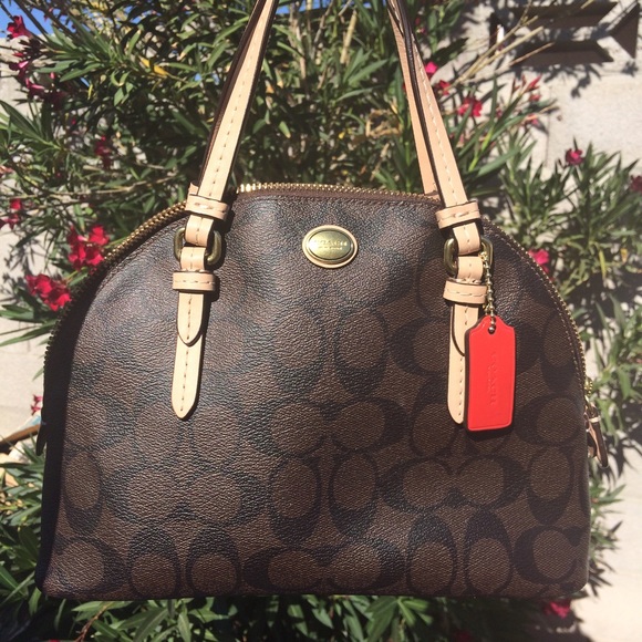 Coach Peyton Signature Dome Satchel