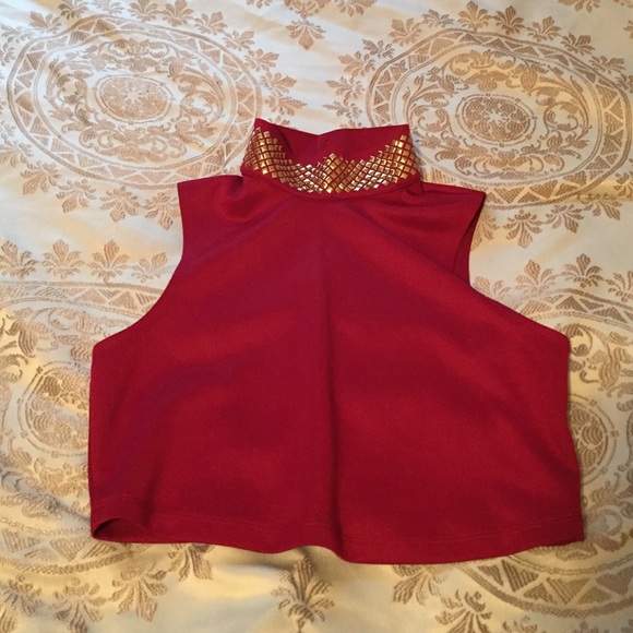 Love Culture Crop Top Maroon