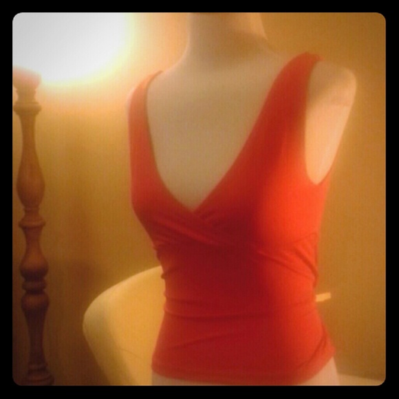 Express Spandex Top