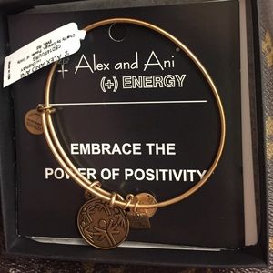 Alex and Ani bracelet 'power of unity'