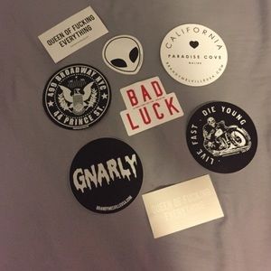 Brandy Melville Stickers✨