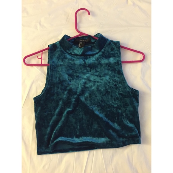Velvet turtle neck top