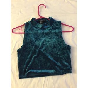 Velvet turtle neck top