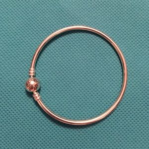 Pandora bangle