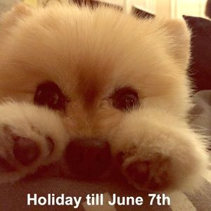 Holiday