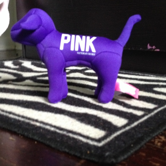 Vs Purple dog