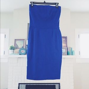 Express Royal Blue Fitted Strapless Dress
