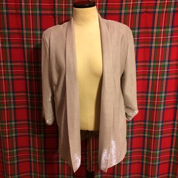 Shimmery H&M Jacket
