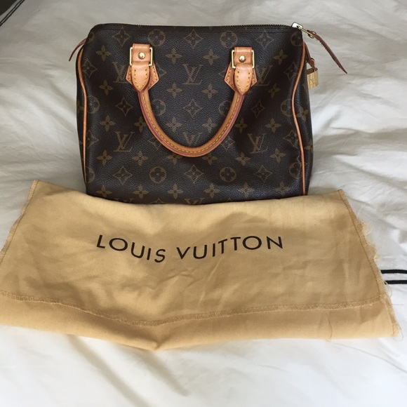 Louis Vuitton Speedy 30 Bag