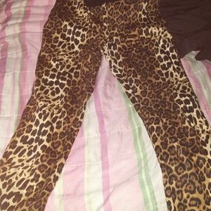 Leopard zara pants