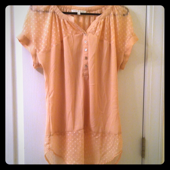Blush Dot Blouse