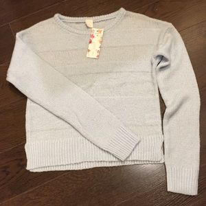 Wild Pearl sweater in baby blue