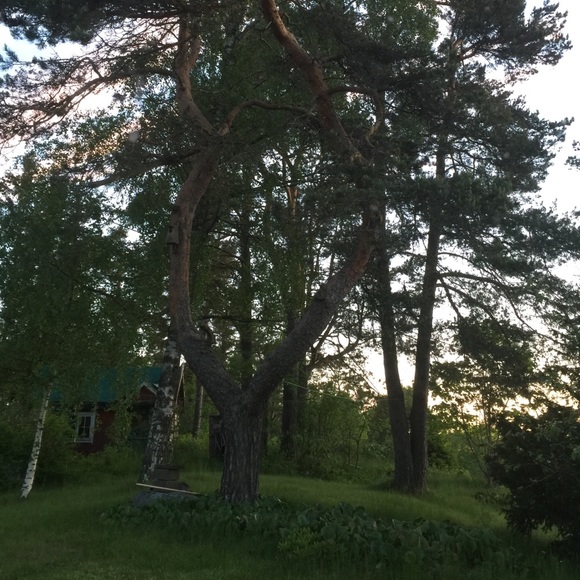 🇸🇪Sweden:  Home of H&M, Volvo, IKEA & Pewdiepie - Picture 3 of 4