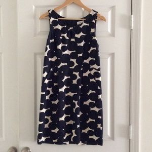 Loft Polka Dot Shift Dress