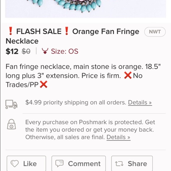 • SALE • ✴️ Fan Fringe Necklace ✴️ - Picture 3 of 3