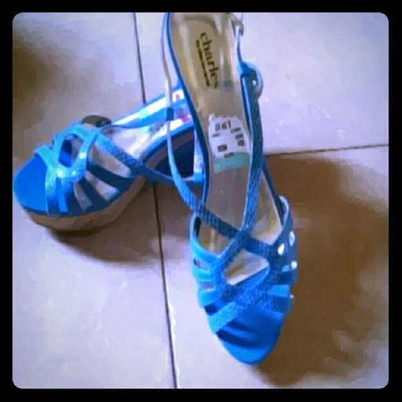 Gorg turquoise ocean color wedgies