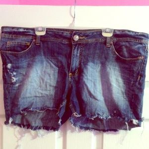 Decree distressed denim shorts