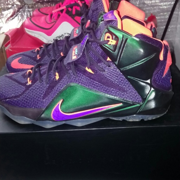 Mens Lebrons 12's