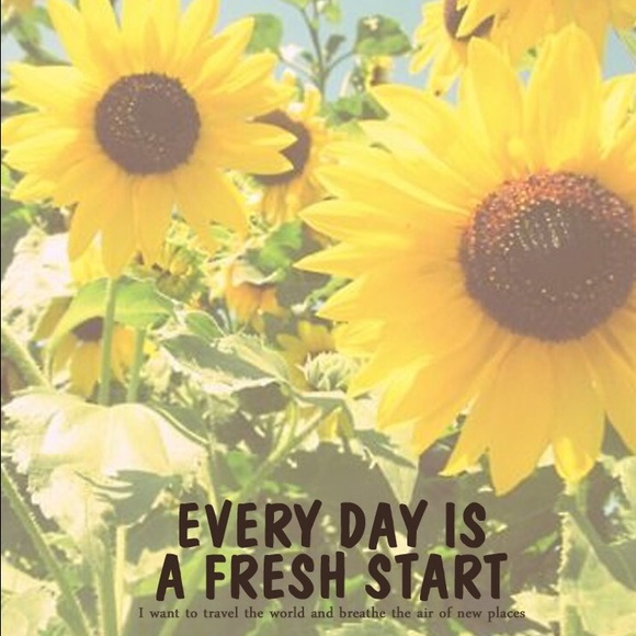 🌻Positivity creates more positivity!🌻