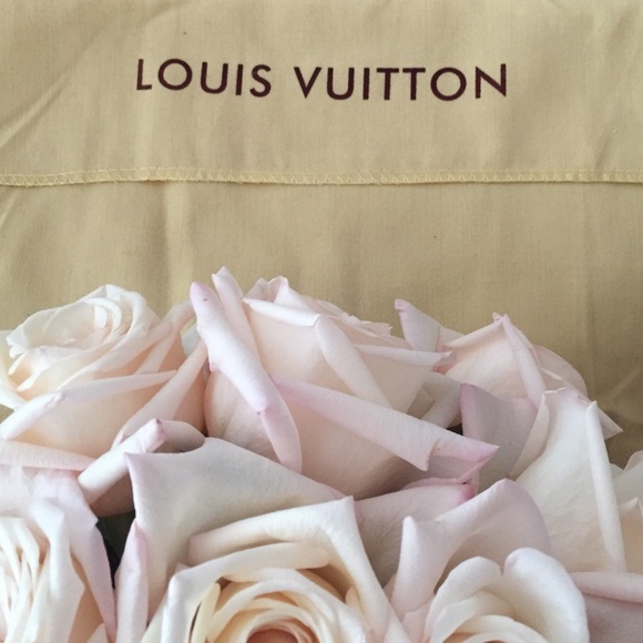 🍃🐠 Louis Vuitton dustbag