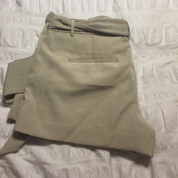 Express Shorts - Picture 2 of 4