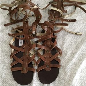 Steve Madden Gladiator Sandal