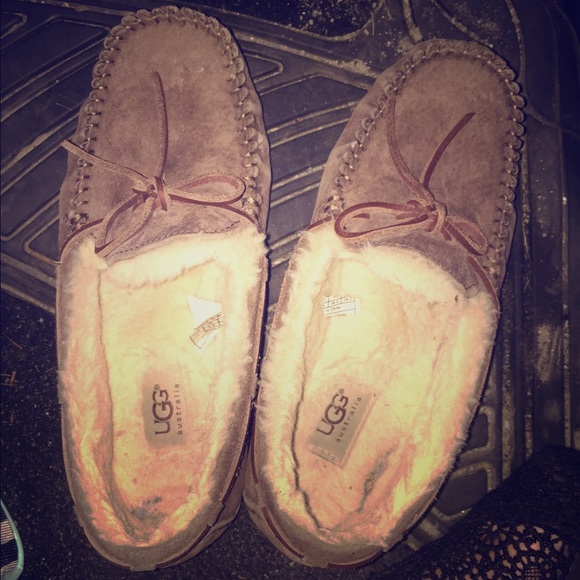 Brown Ugg Slippers