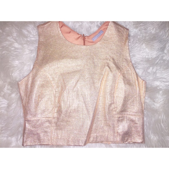 Zara Tops - Zara Metallic Crop Top Zara Tops - Zara Metallic Crop Top
