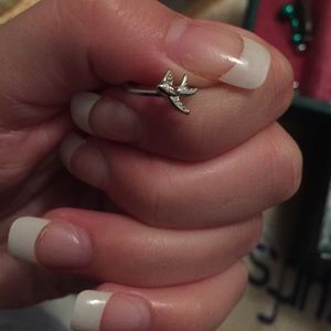 earring or nose ring