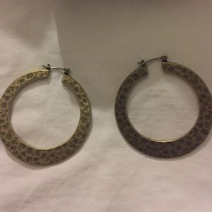 Bronze earrings