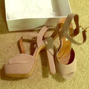 Steve Madden  "dynamite"