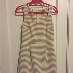 Adorable LOFT work dress