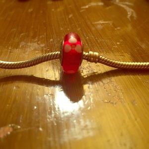 Pandora Glass Bead Charm